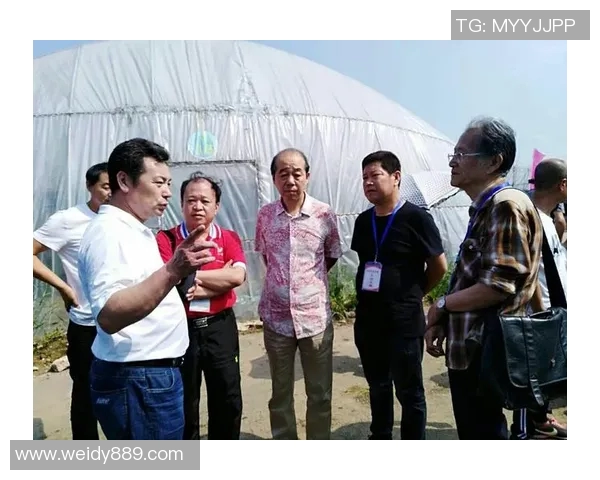 色扎乡足球比赛精彩直播回放全记录助力乡村体育发展与交流