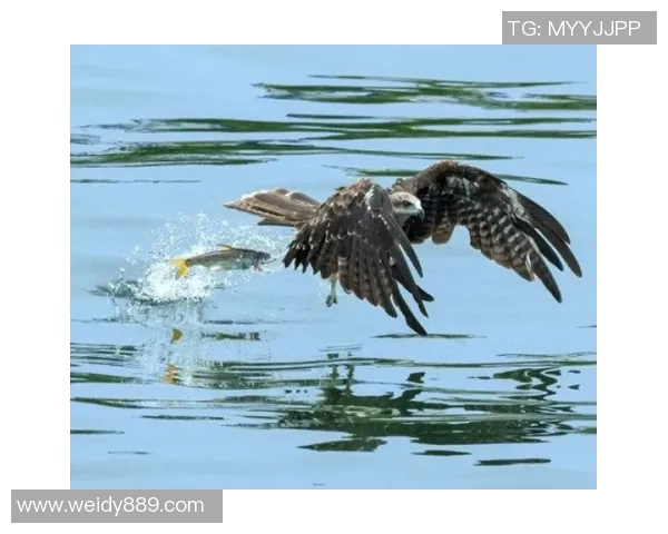 龙里县体育馆足球比赛精彩直播全程回顾与精彩瞬间分享