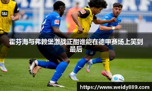 霍芬海与弗赖堡激战正酣谁能在德甲赛场上笑到最后